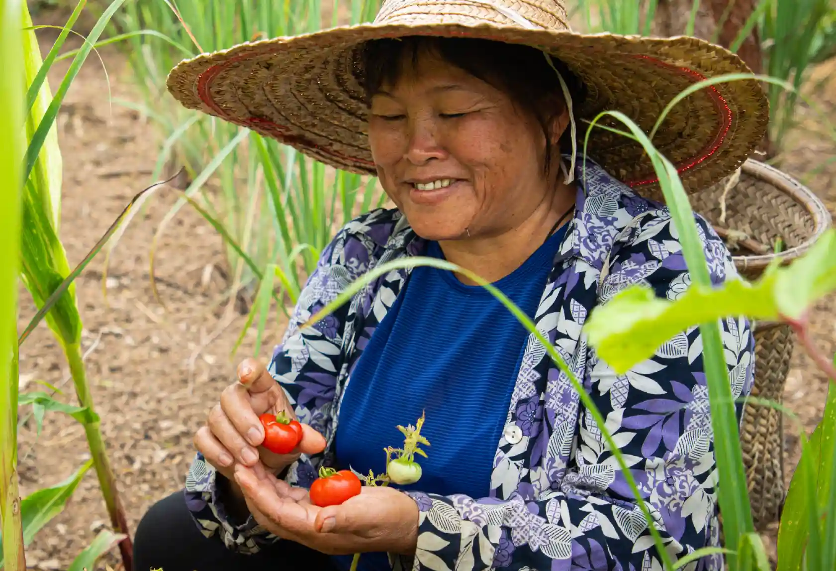 Livelihoods programmes